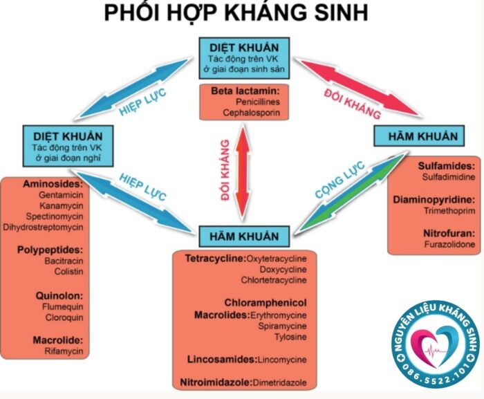 Cơ chế hoạt động của các nhóm kháng sinh trong thú y